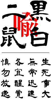 画像：黒白二鼠