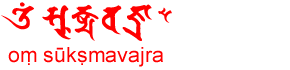 画像:四陀羅尼之一(微細金剛眞言)・註